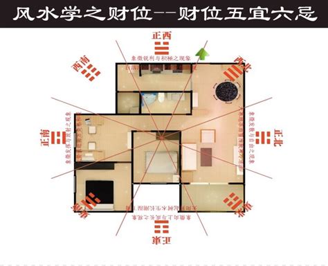 客厅风水财位|客厅/居室财位怎么看？居家风水财位在哪里？财位放。